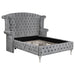 deanna-contemporary-metallic-california-king-bed