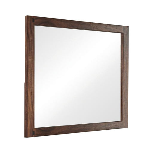 g223253-mirror