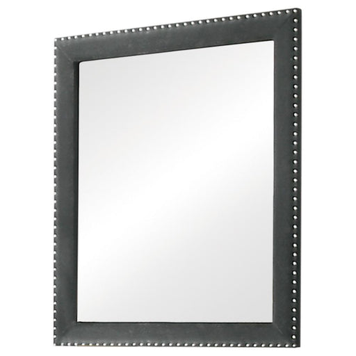 g223383-mirror