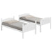 arlo-twin-twin-bunk-bed-with-ladder-white