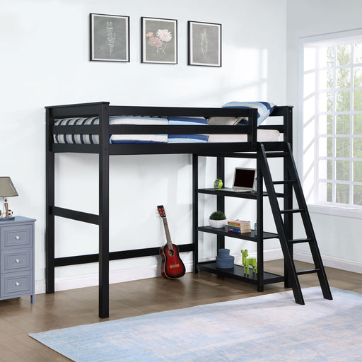 anica-3-shelf-wood-twin-loft-bed