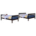 chapman-bunk-bed