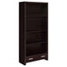 skylar-5-shelf-bookcase-with-storage-drawer-cappuccino