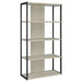 loomis-bookshelf