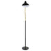 black-gold-floor-lamp