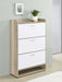 denia-shoe-cabinet