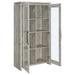 alejo-accent-cabinet