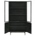 santiago-accent-cabinet