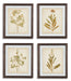 dyani-wall-art-set-of-4