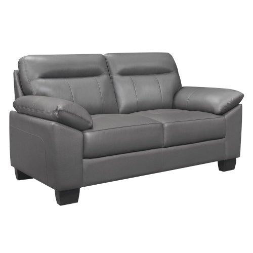 Denizen Loveseat in Dark Gray 9537DGY-2