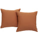 summon-2-piece-outdoor-patio-sunbrella-pillow-set