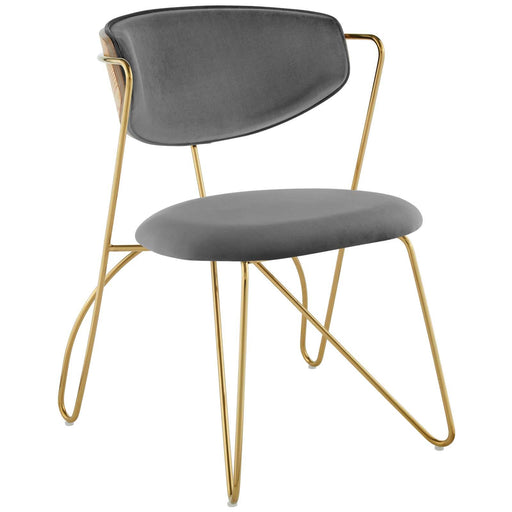 prevail-gold-stainless-steel-dining-and-accent-performance-velvet-chair