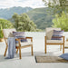 vero-outdoor-patio-ash-wood-armchair-set-of-2